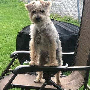 Meet your Posher, Terrah